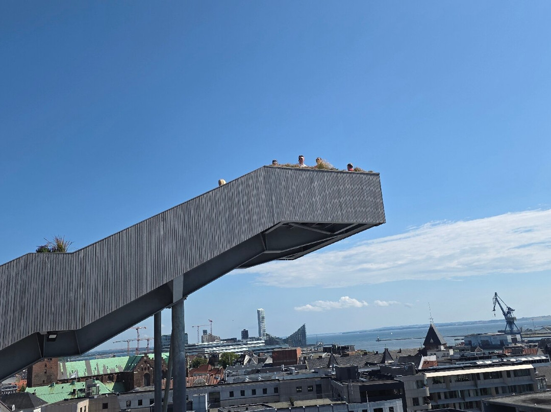 Salling Rooftop-欧胡斯必去景点