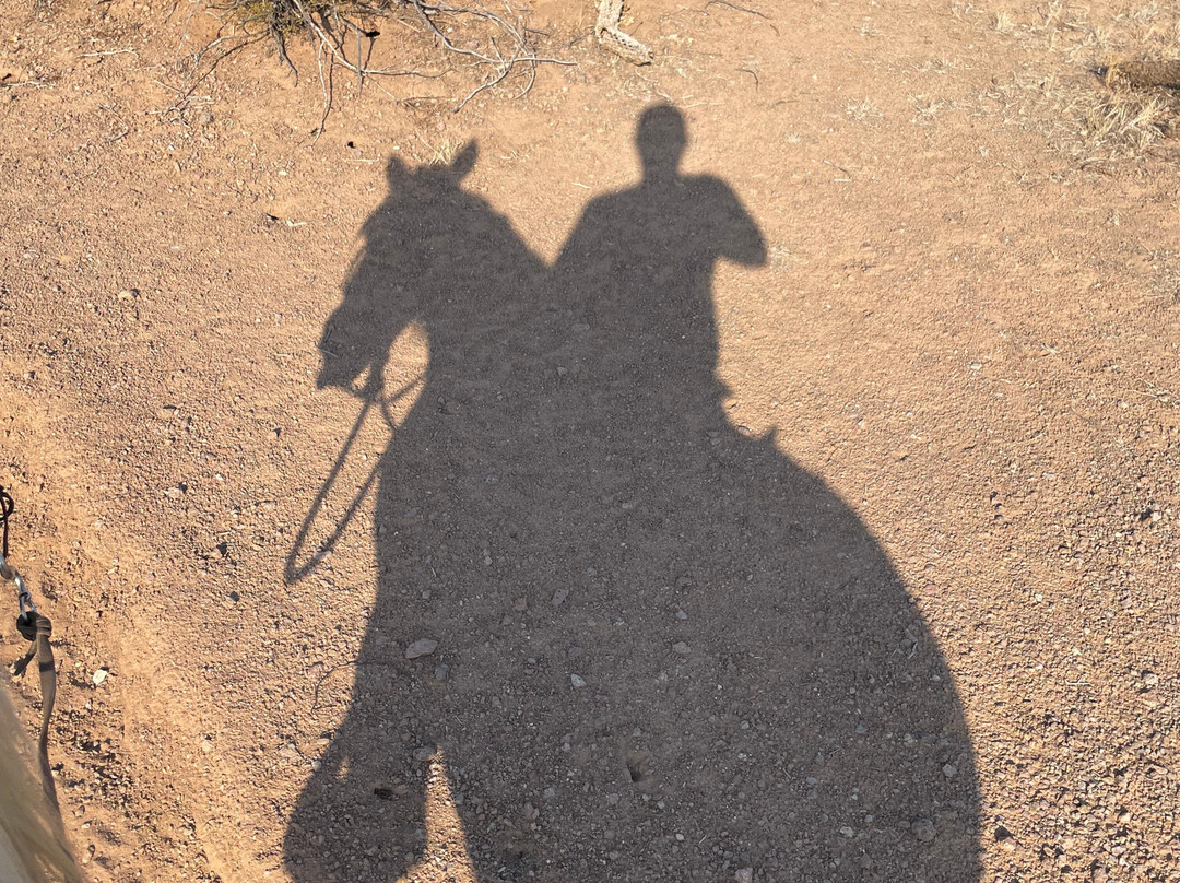 Tucson Mountain Stables-图森必去景点