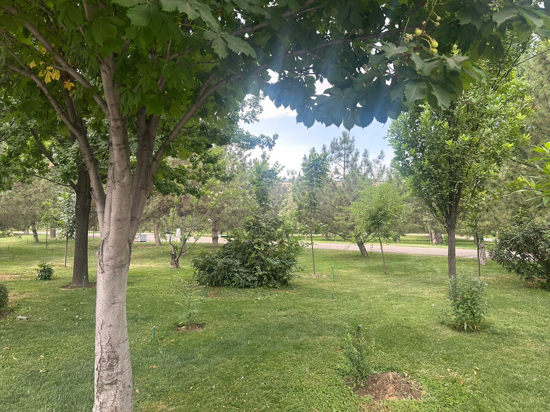 Amir Temur Square-塔什干必去景点