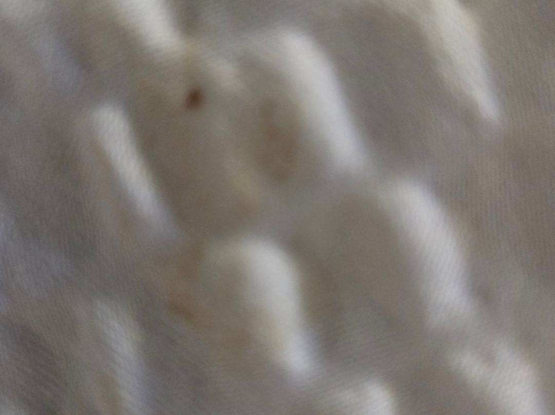 Days Inn by Wyndham Asheville Downtown North主图