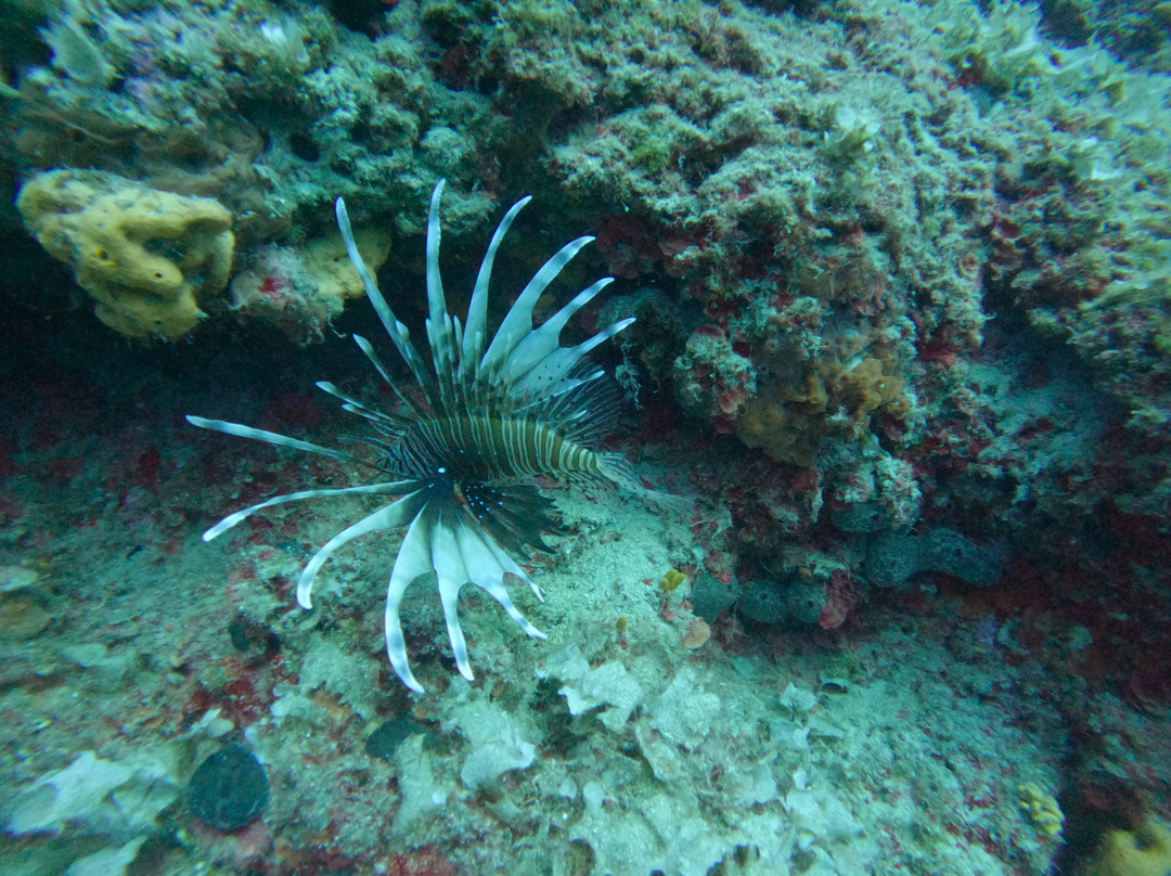 Blue Yard Hub-Porto Rafti必去景点