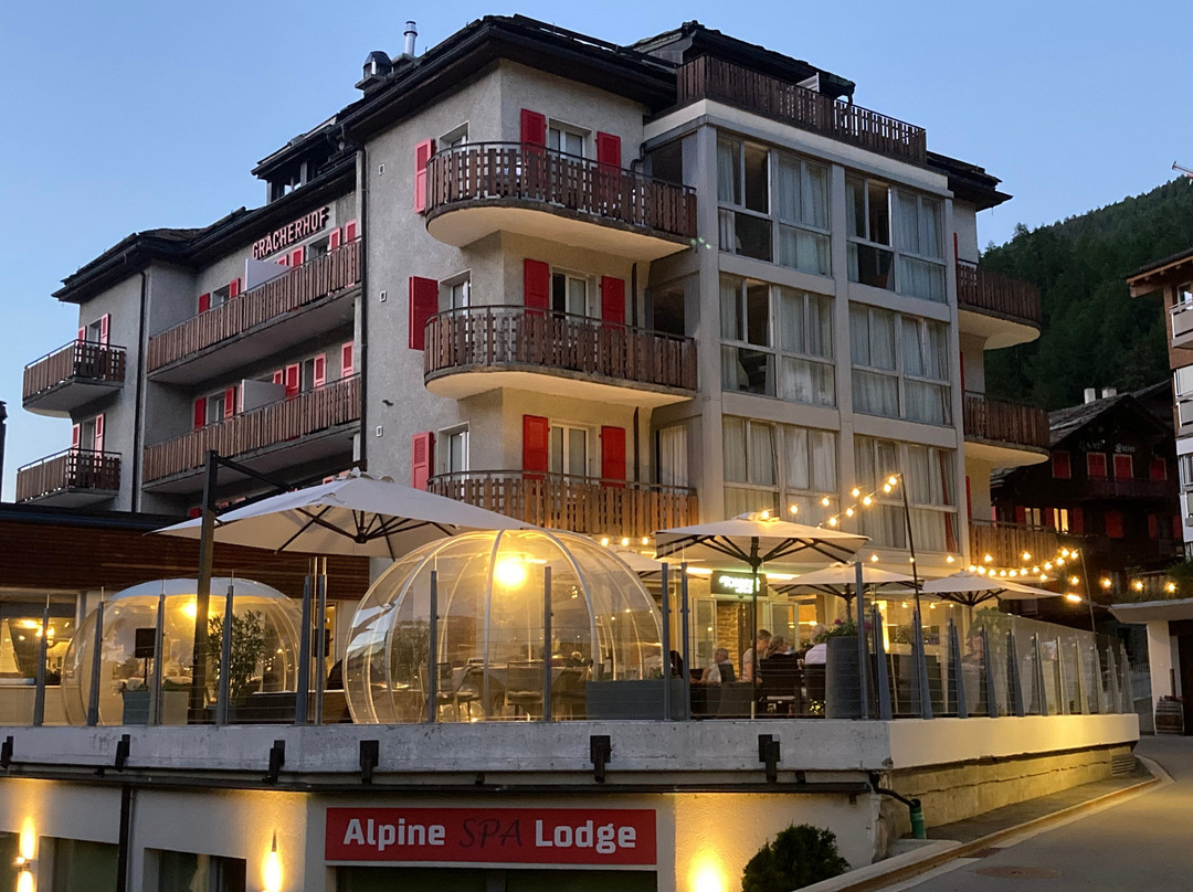 Lifestyle & Spa Hotel Grächerhof主图