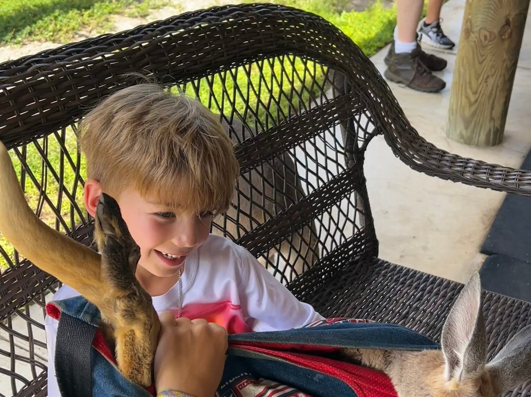 Animal EDventure Park & Safari-博因顿海滩必去景点