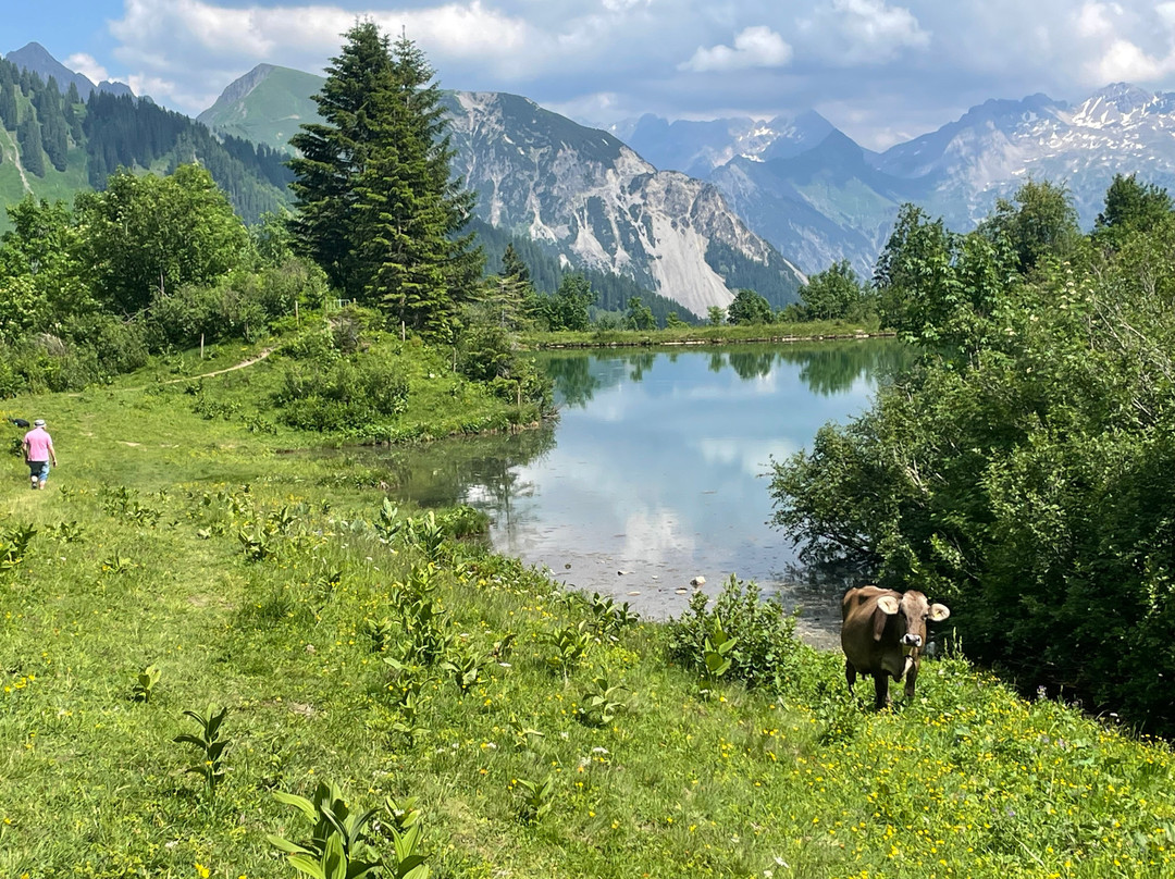 Sonnasita Natur.Genuss.Hotel主图