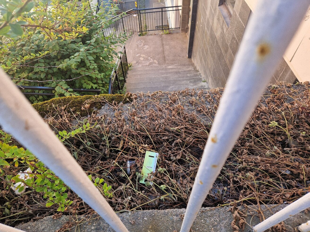 Thon Hotel Storgata主图