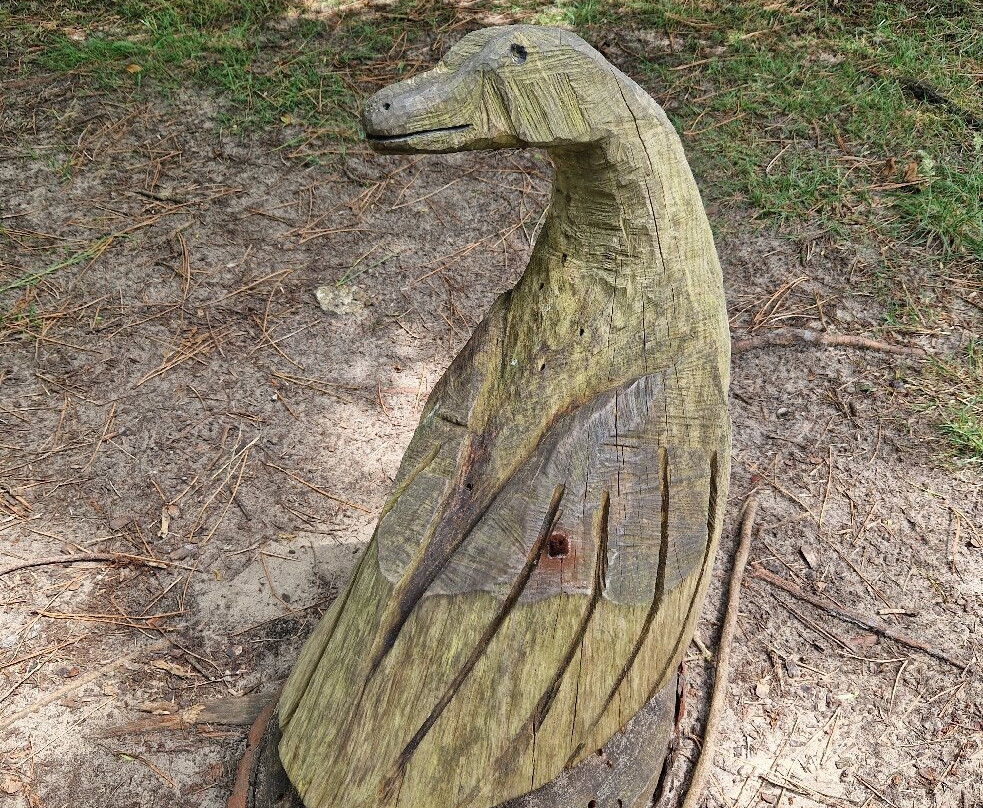 马格达莱纳半岛-桑坦德必去景点