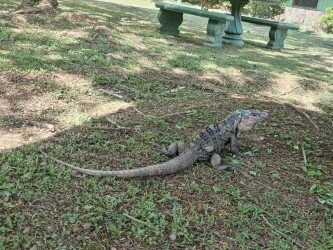 Hacienda Baru Lodge-主日镇必去景点