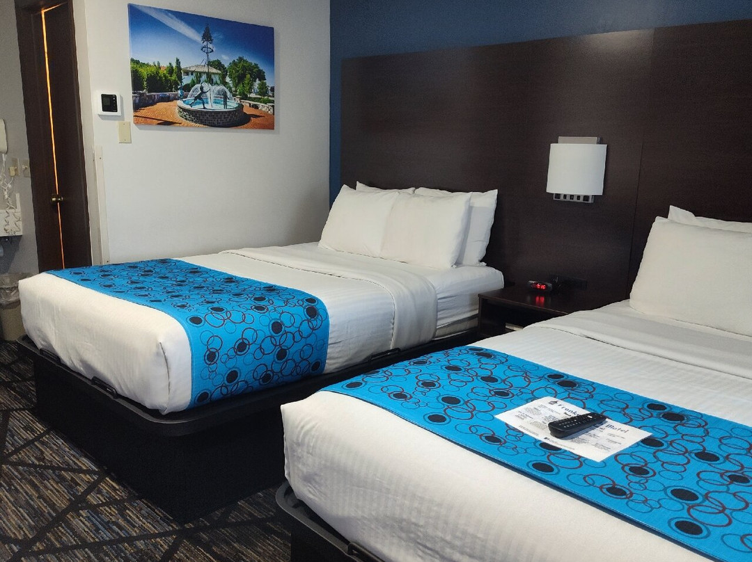 Frankenmuth Motel主图