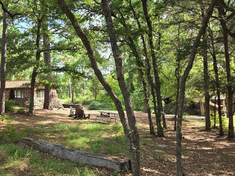 Bastrop State Park-巴斯特罗普必去景点