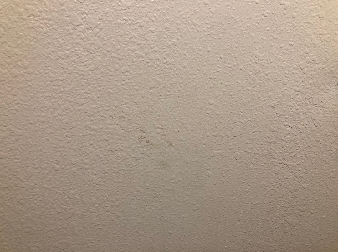 Microtel Inn & Suites By Wyndham Appleton主图