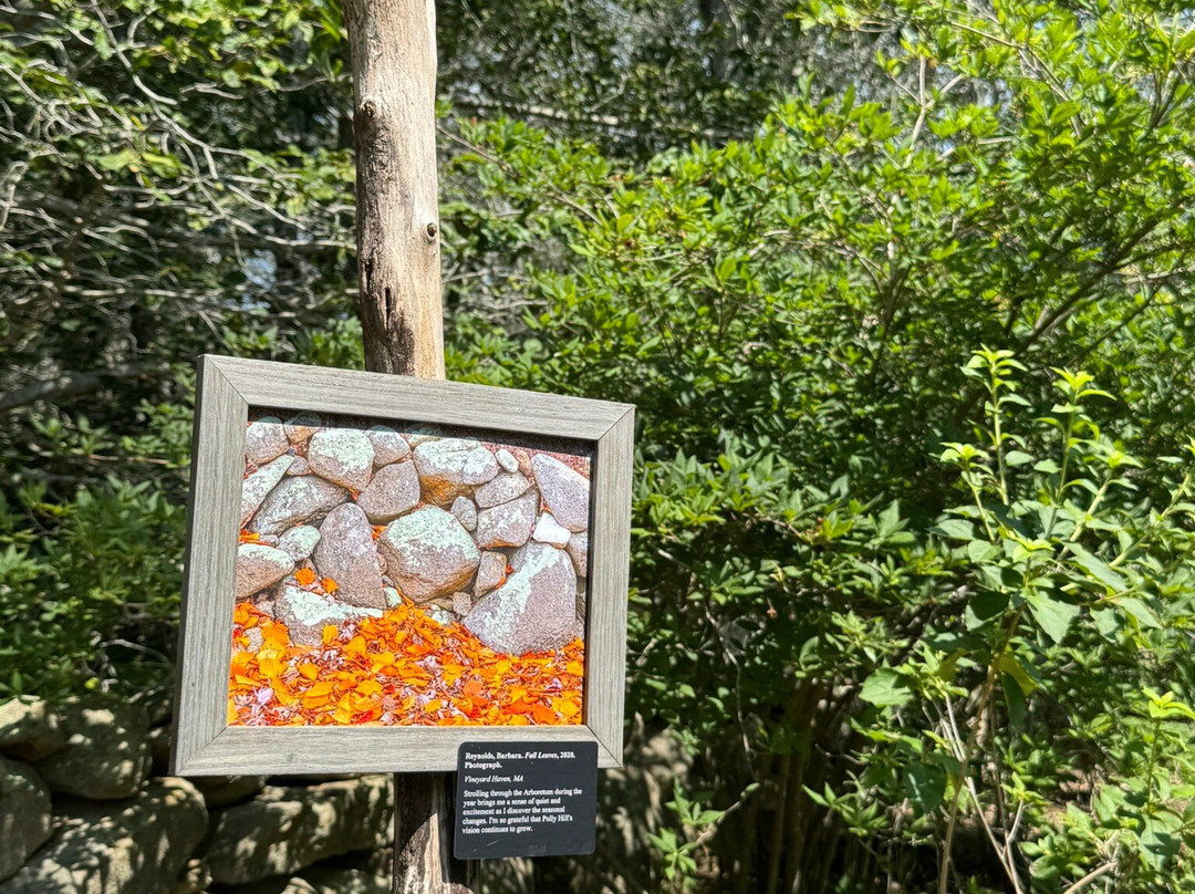 Polly Hill Arboretum-West Tisbury必去景点