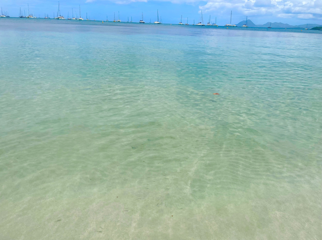 La Pointe Marin-Sainte-Anne必去景点