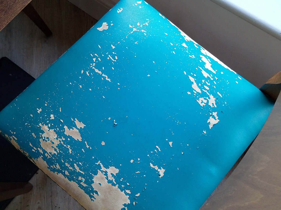 WWT Llanelli Wetland Centre-拉内利必去景点