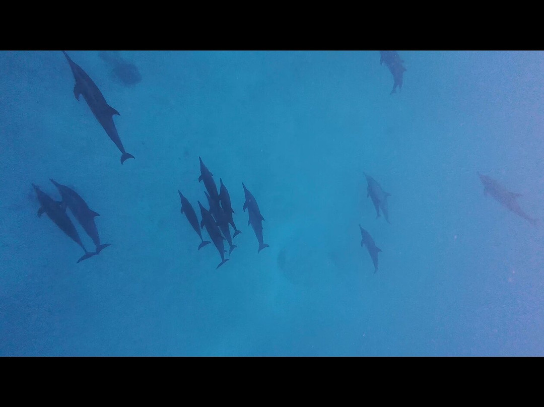 Gaadi Tours-康杜玛岛必去景点