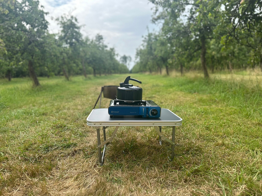Dorset Nectar Cider-布里德波特必去景点