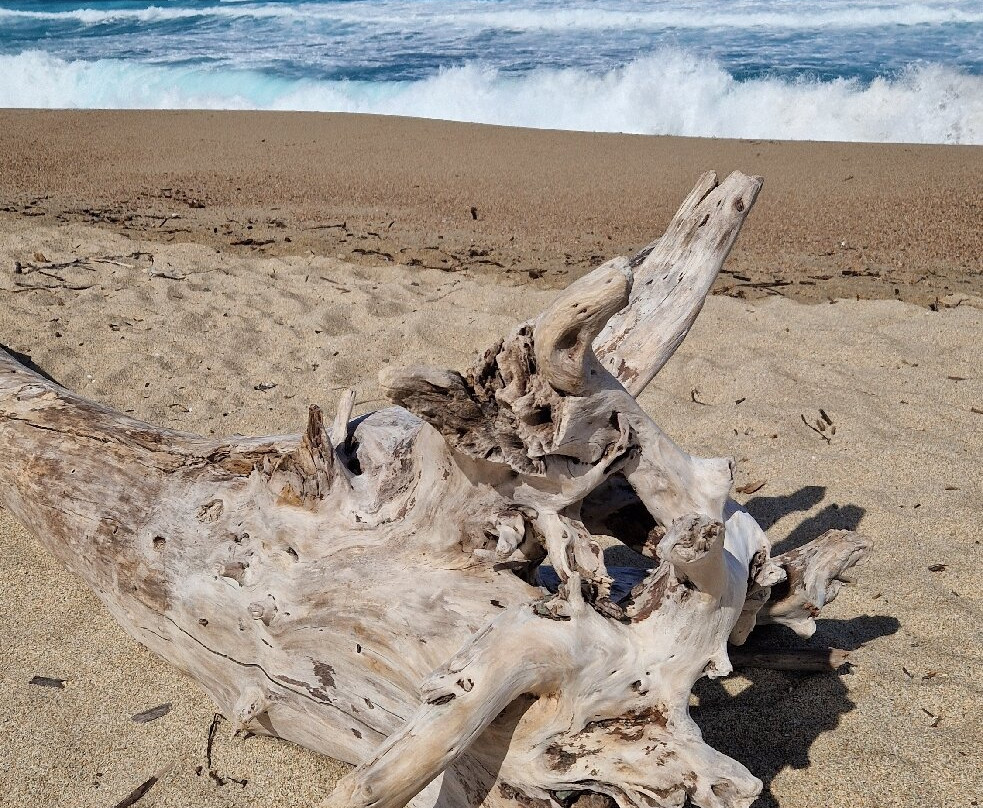 Plage Capu Laurosu-Propriano必去景点