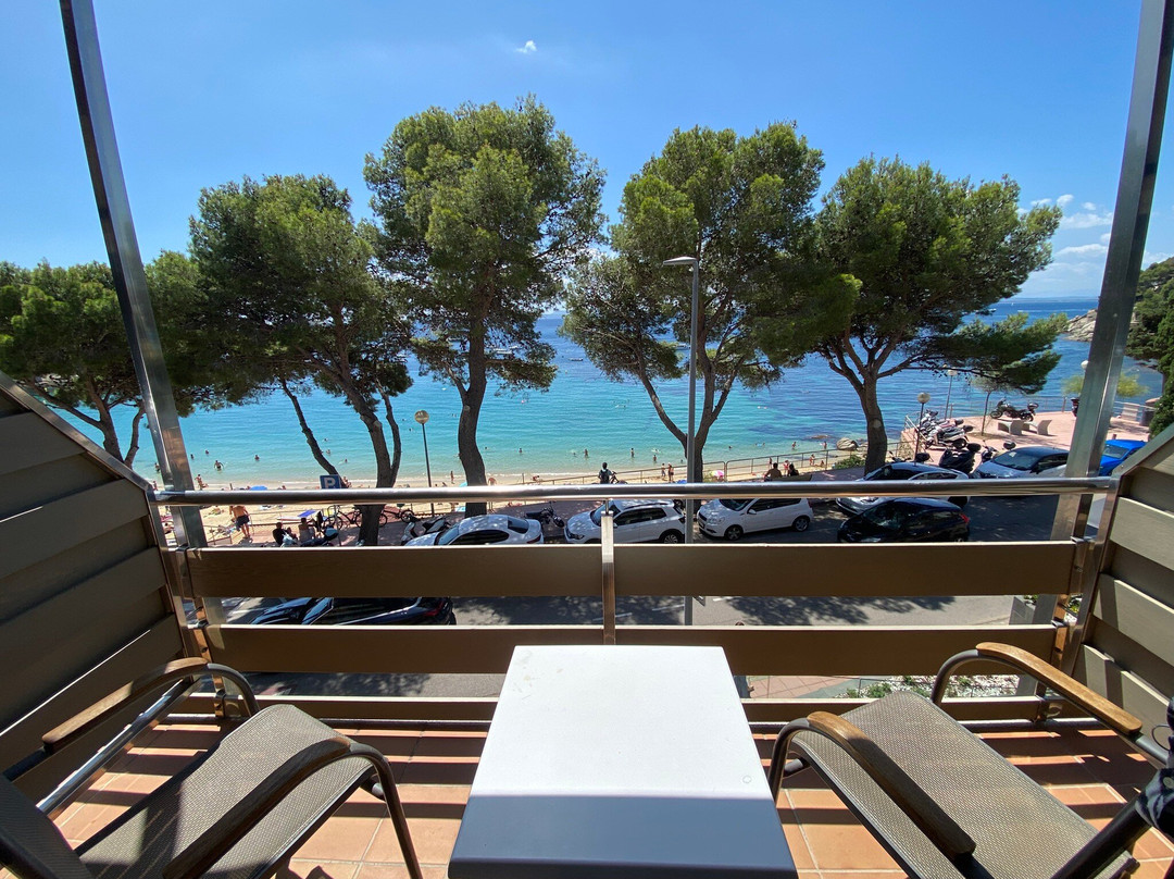 Hotel Canyelles Platja主图