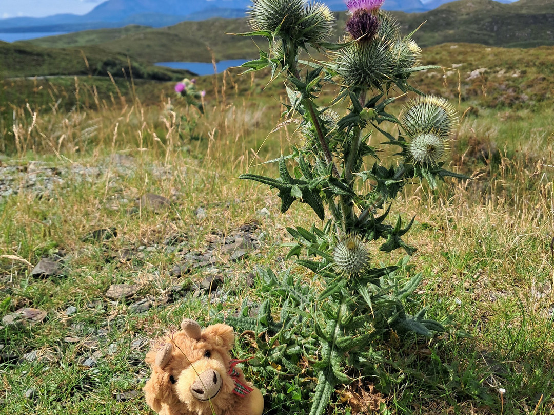 Uniquely Scotland-斯特灵必去景点