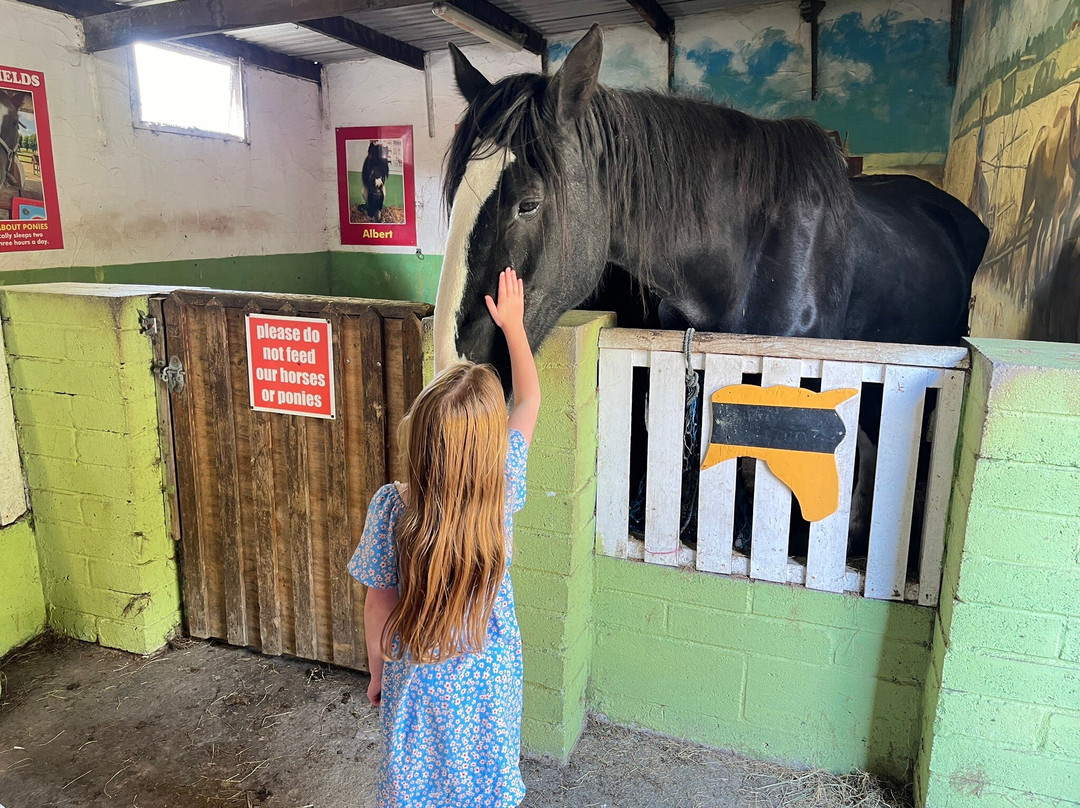 Springfields Fun Park-St Columb Major必去景点