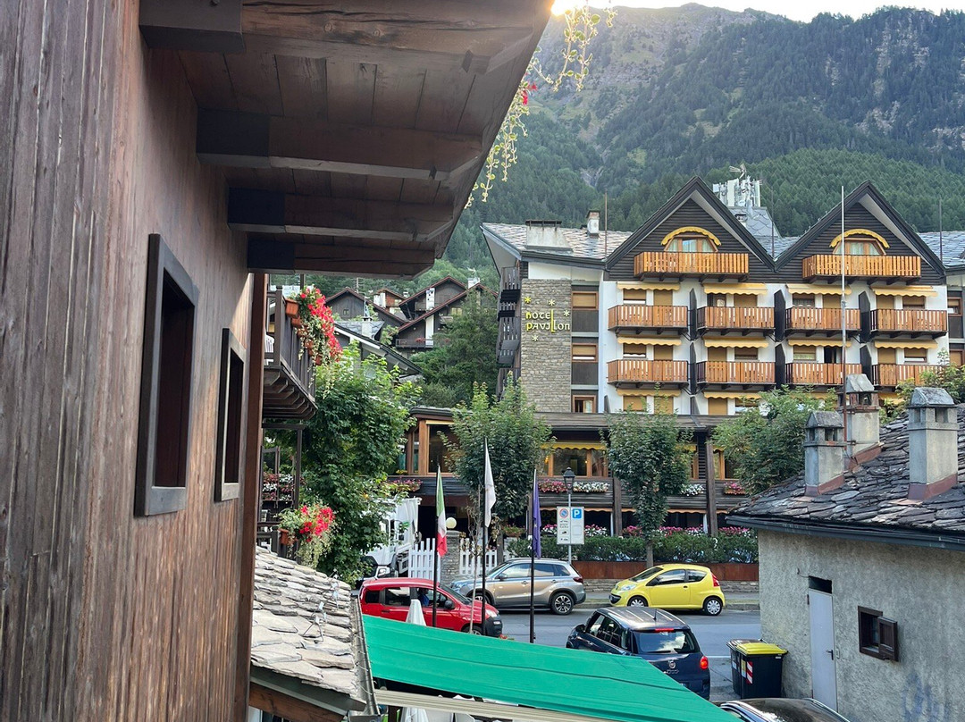 特里欧蕾酒店主图