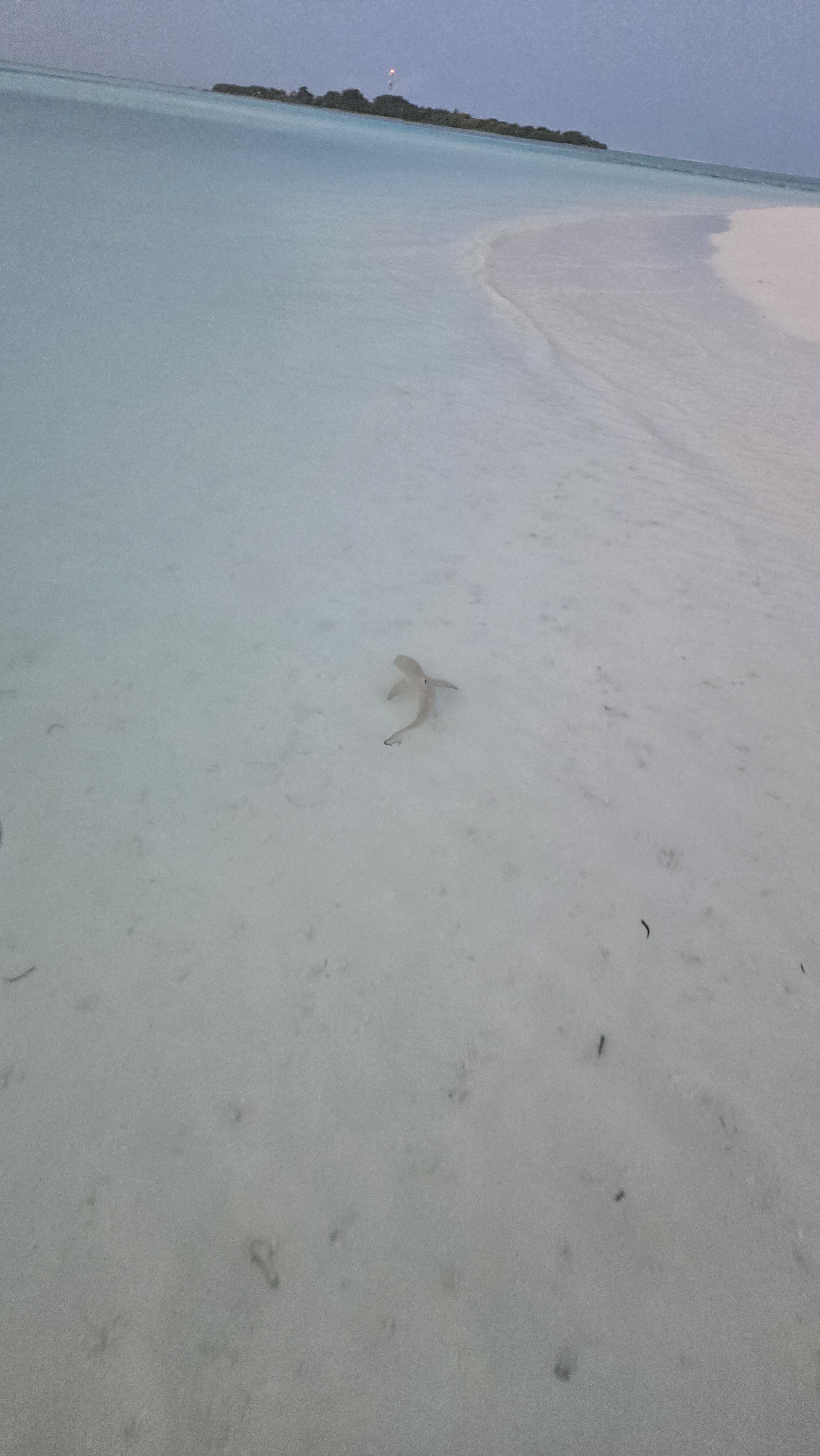 Le Méridien Maldives Resort & Spa-浴室