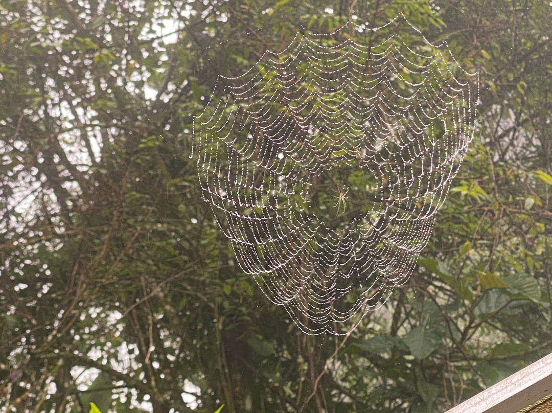 Ayana Holiday Resort主图