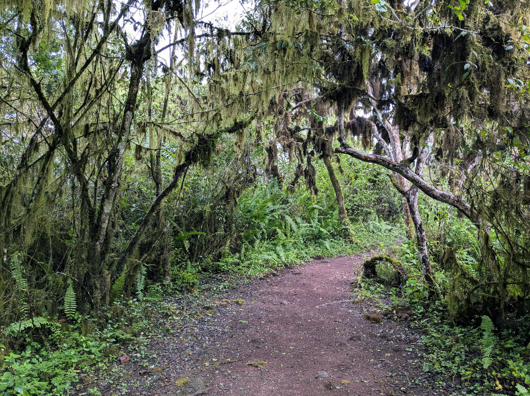Los Gemelos-圣克鲁斯必去景点
