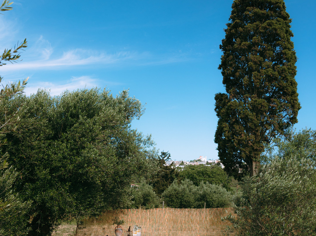 Olive Oil Experience Crete-Peza必去景点