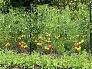 Frinklepod Farm-Arundel必去景点