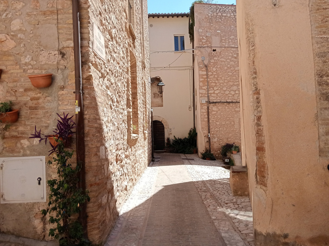 Vicolo Fiorito-Trevi必去景点