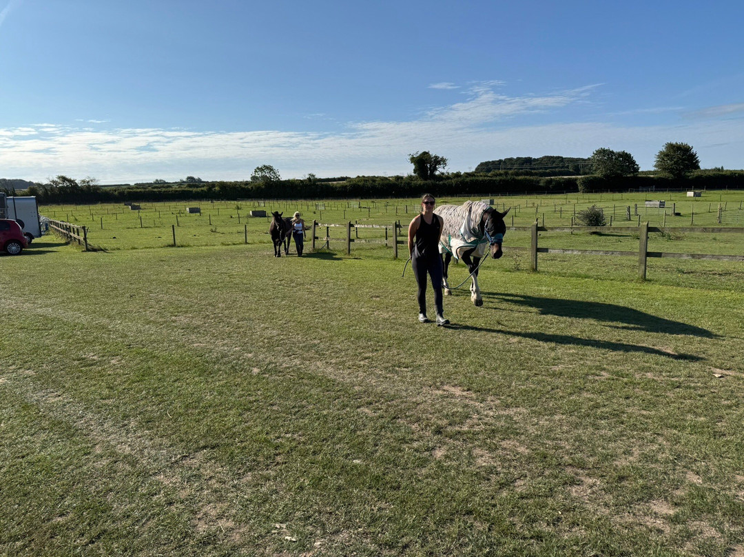 Whitehall Farm Accommodation主图