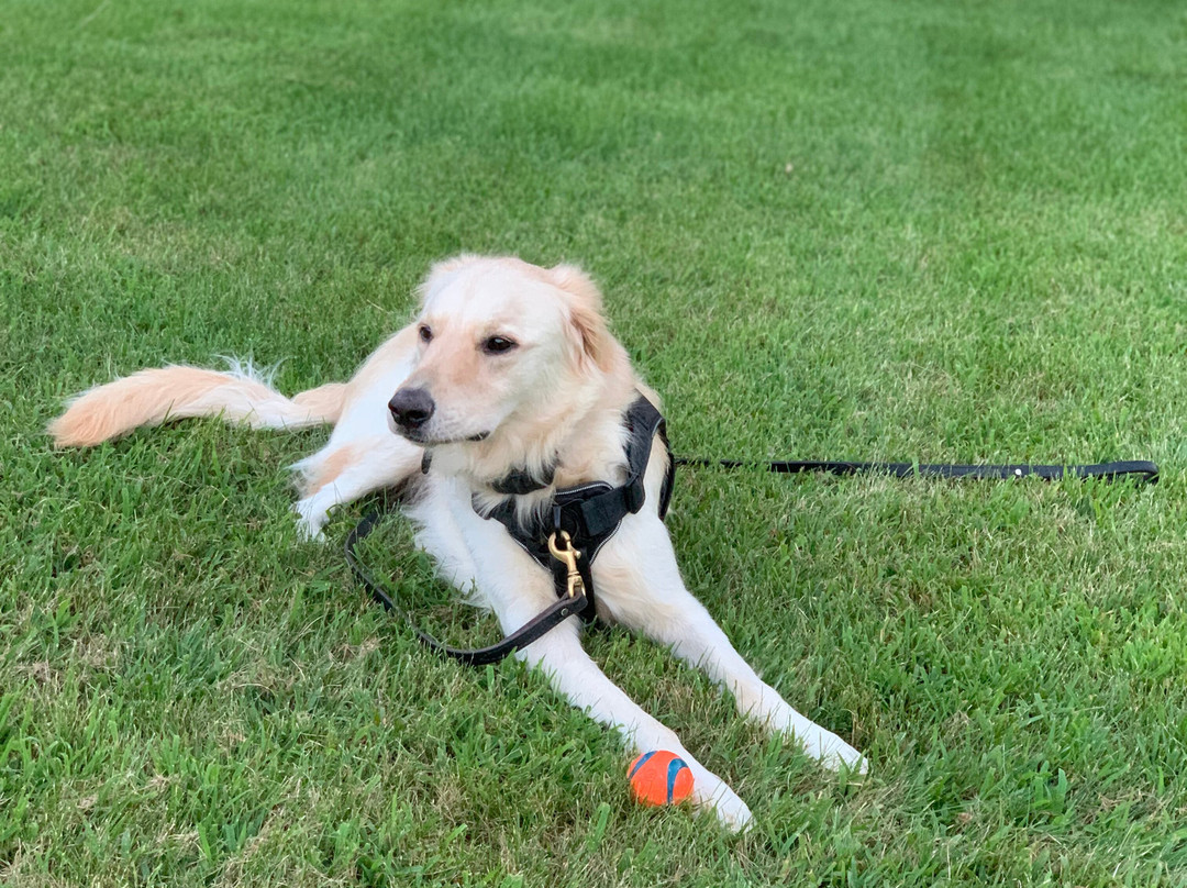 Days Inn by Wyndham Wauseon主图