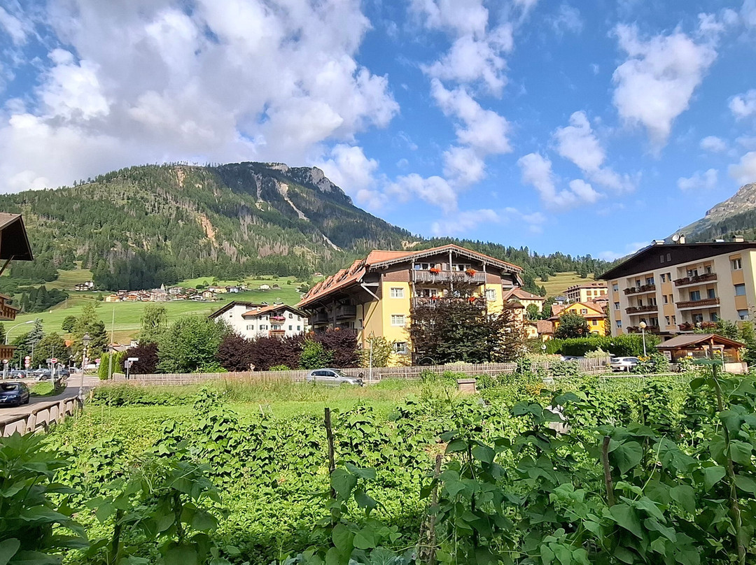 克拉伯阿德勒健康家庭酒店主图