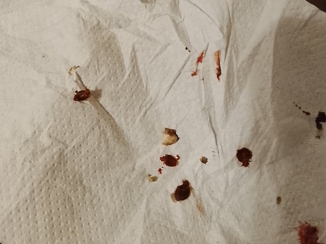 Hotel de la Vendee主图