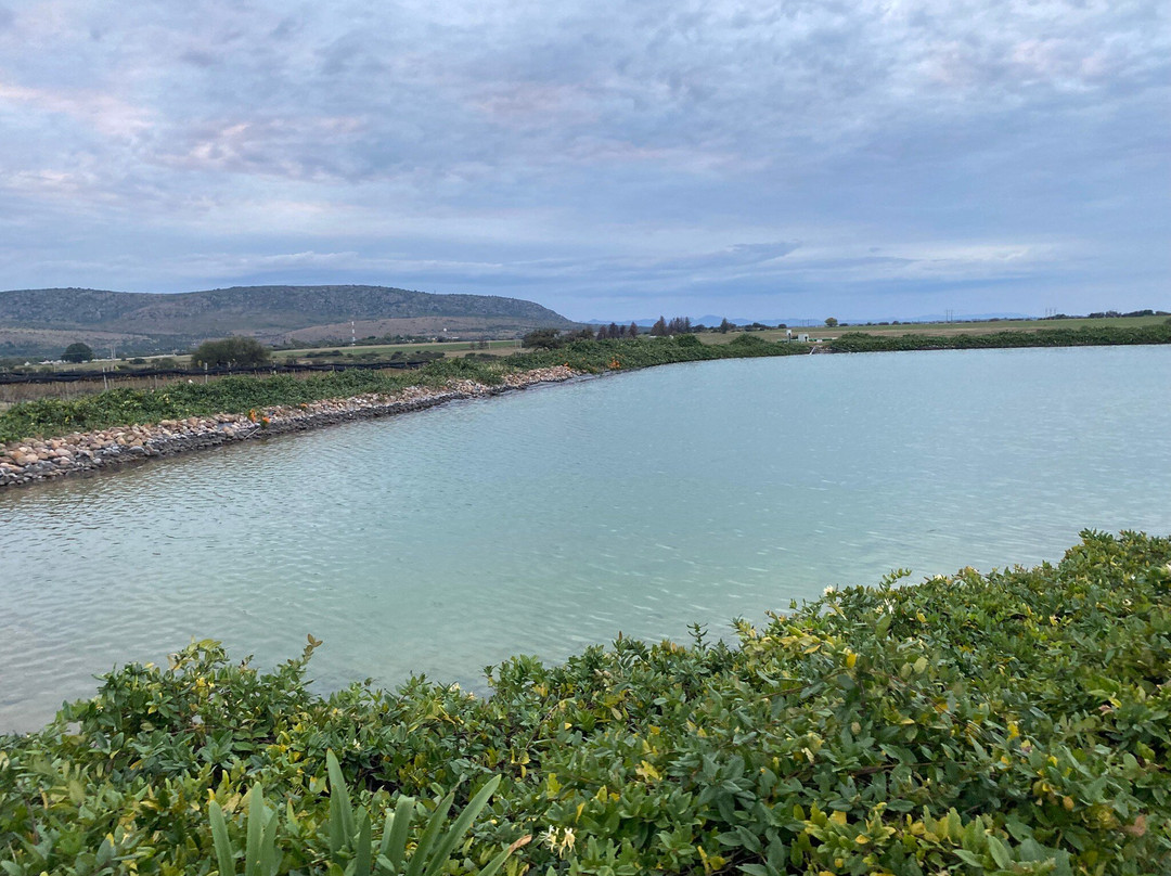 Tres Raíces-Dolores Hidalgo必去景点