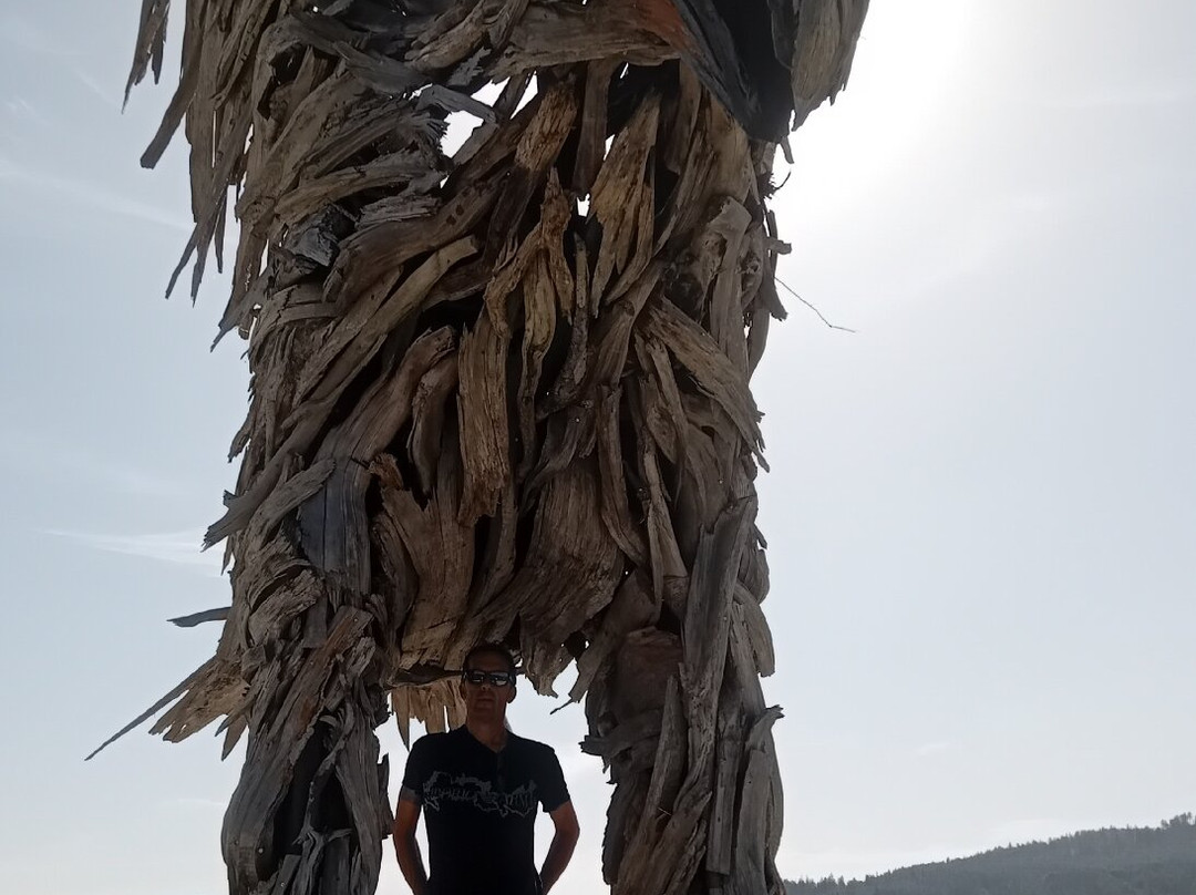 Aquila Vaia di Marcesina-Grigno必去景点