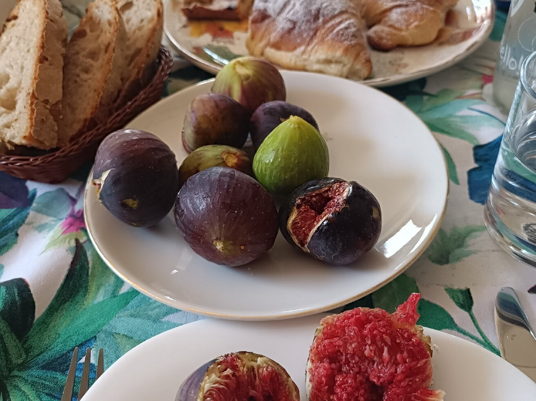 B&B Il Belvedere主图