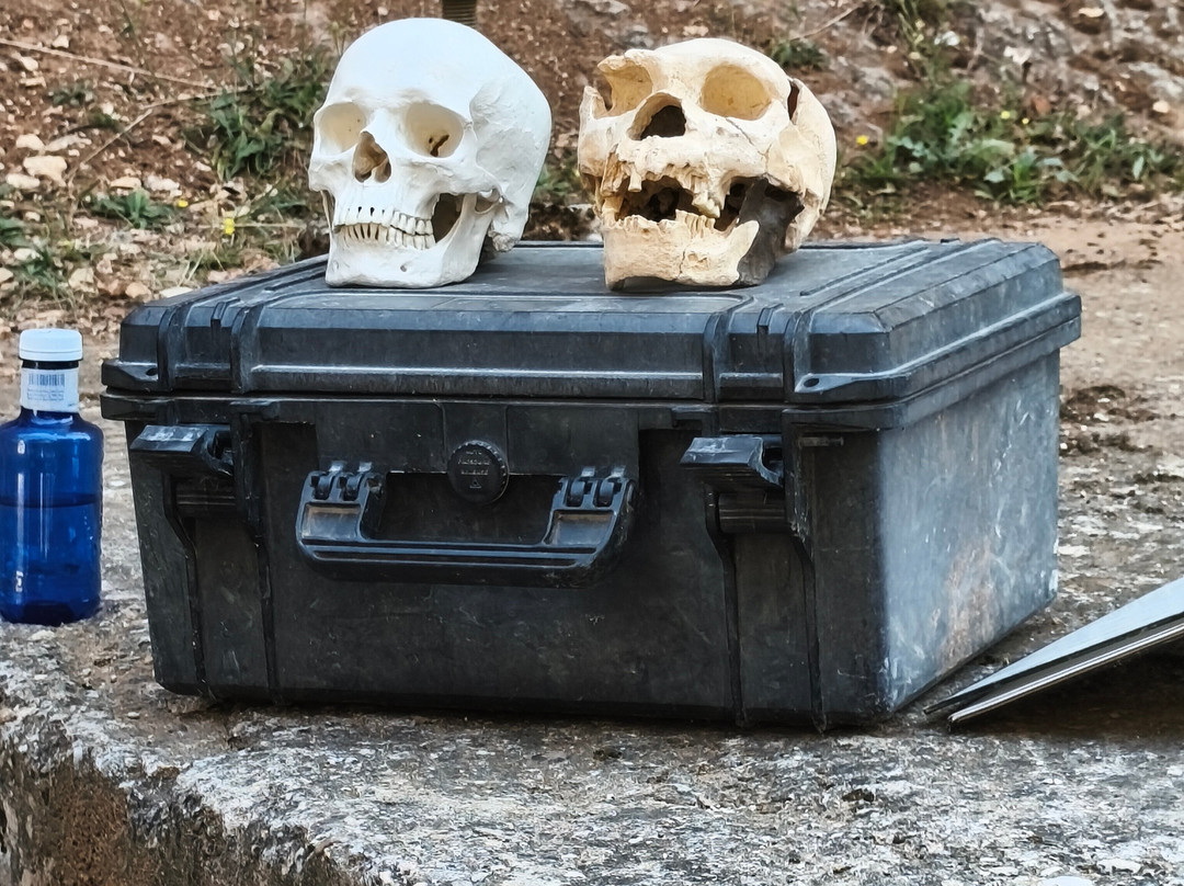 Centro de Arqueologia Experimental (Carex)-Atapuerca必去景点