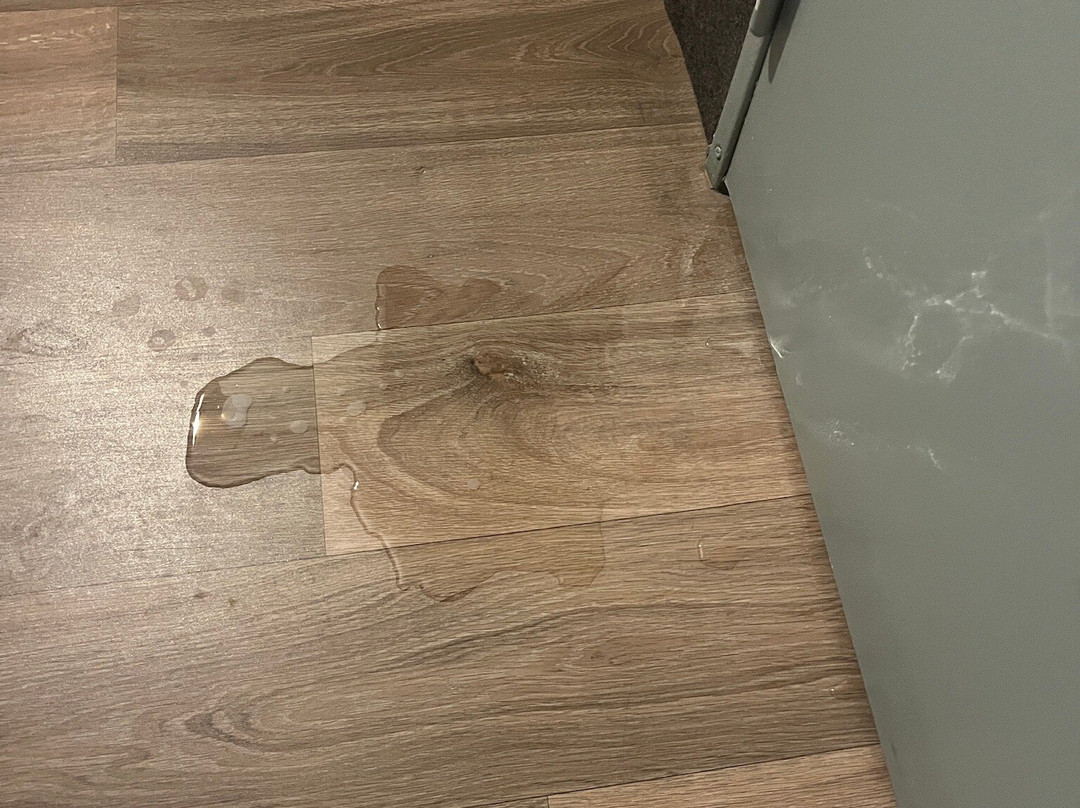 B&B HOTEL Saint-Brieuc主图