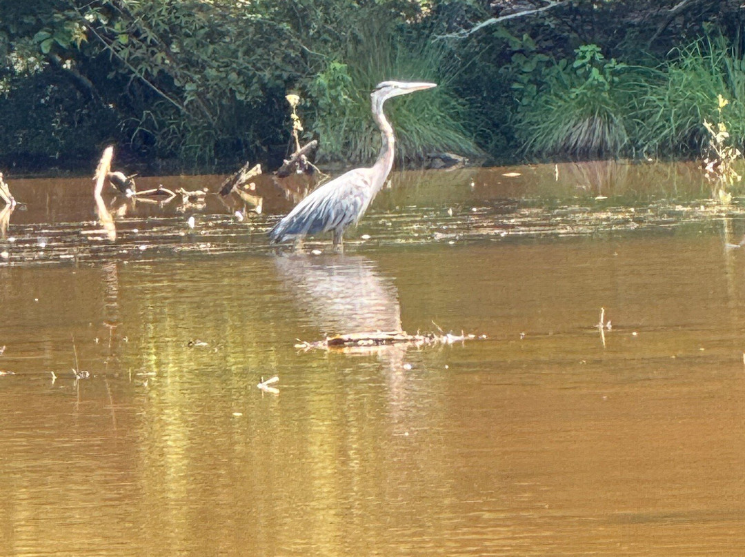 Colonel Francis Beatty Park-马修斯必去景点