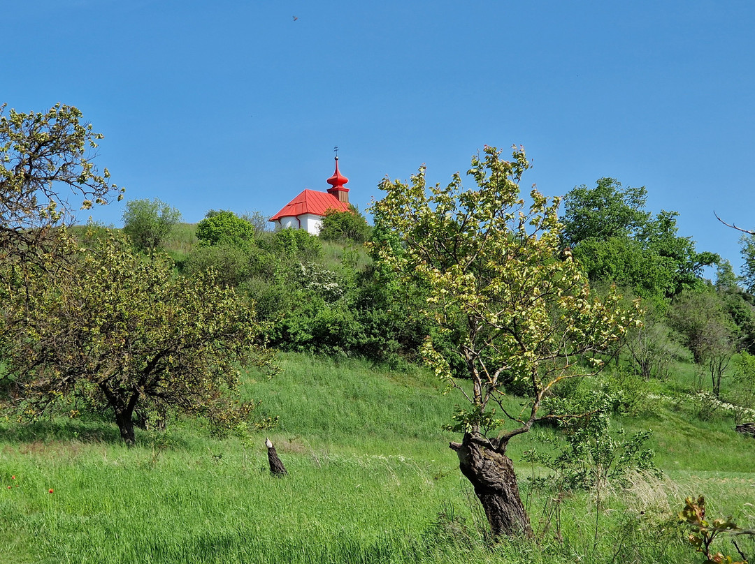 Battlefield Austerlitz-布尔诺必去景点