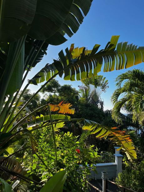 Mount Edgecombe Boutique Hotel-官方