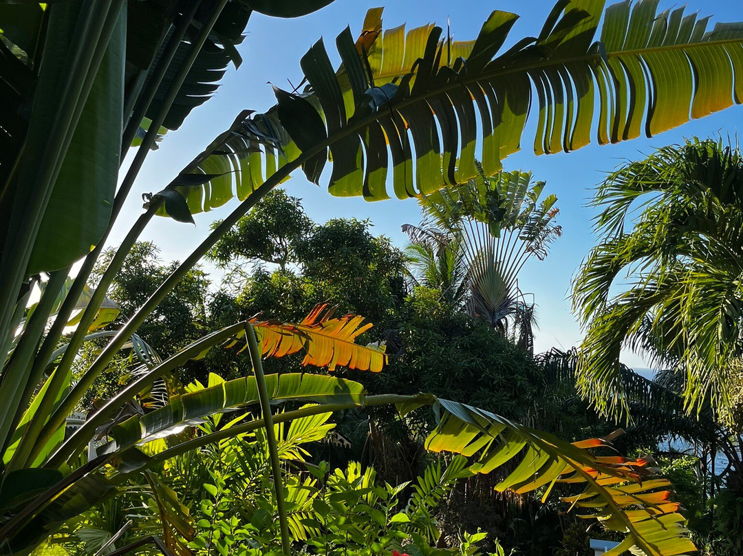 Mount Edgecombe Boutique Hotel主图