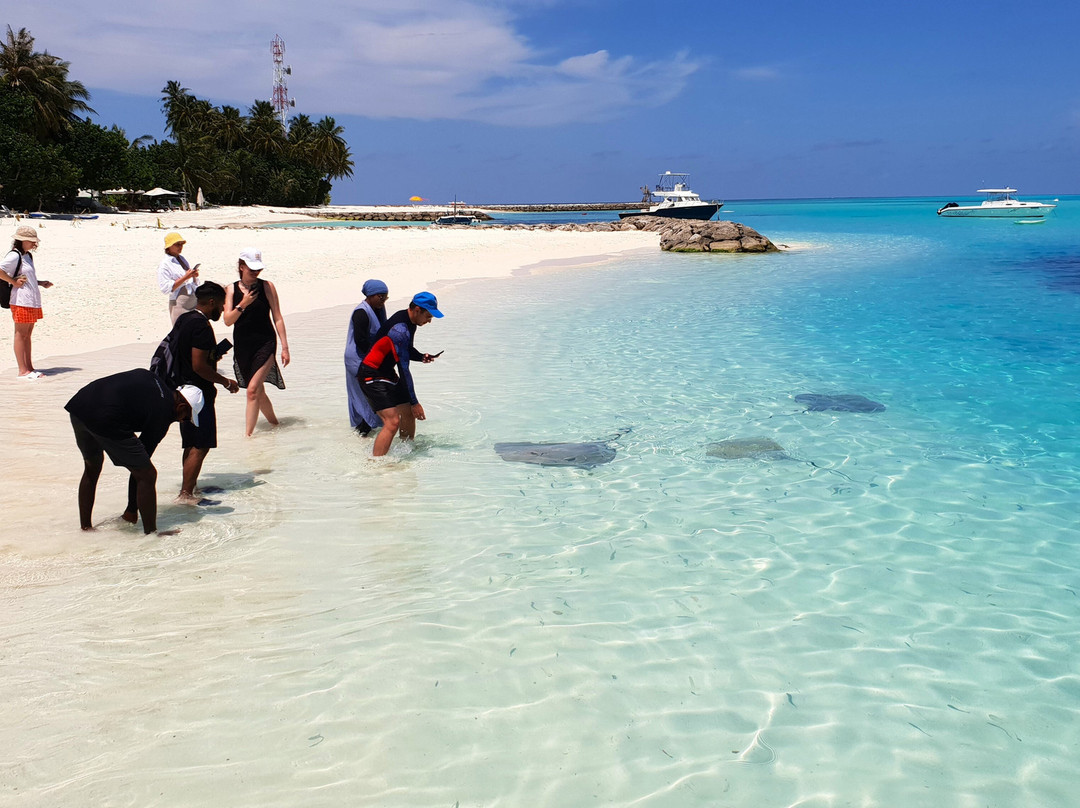 S&Y Tours and Travel-马累必去景点