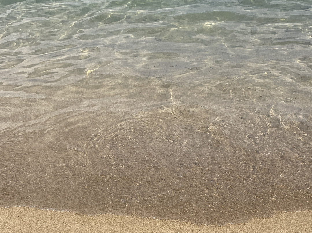 Spiaggia di Arenella-Arenella必去景点