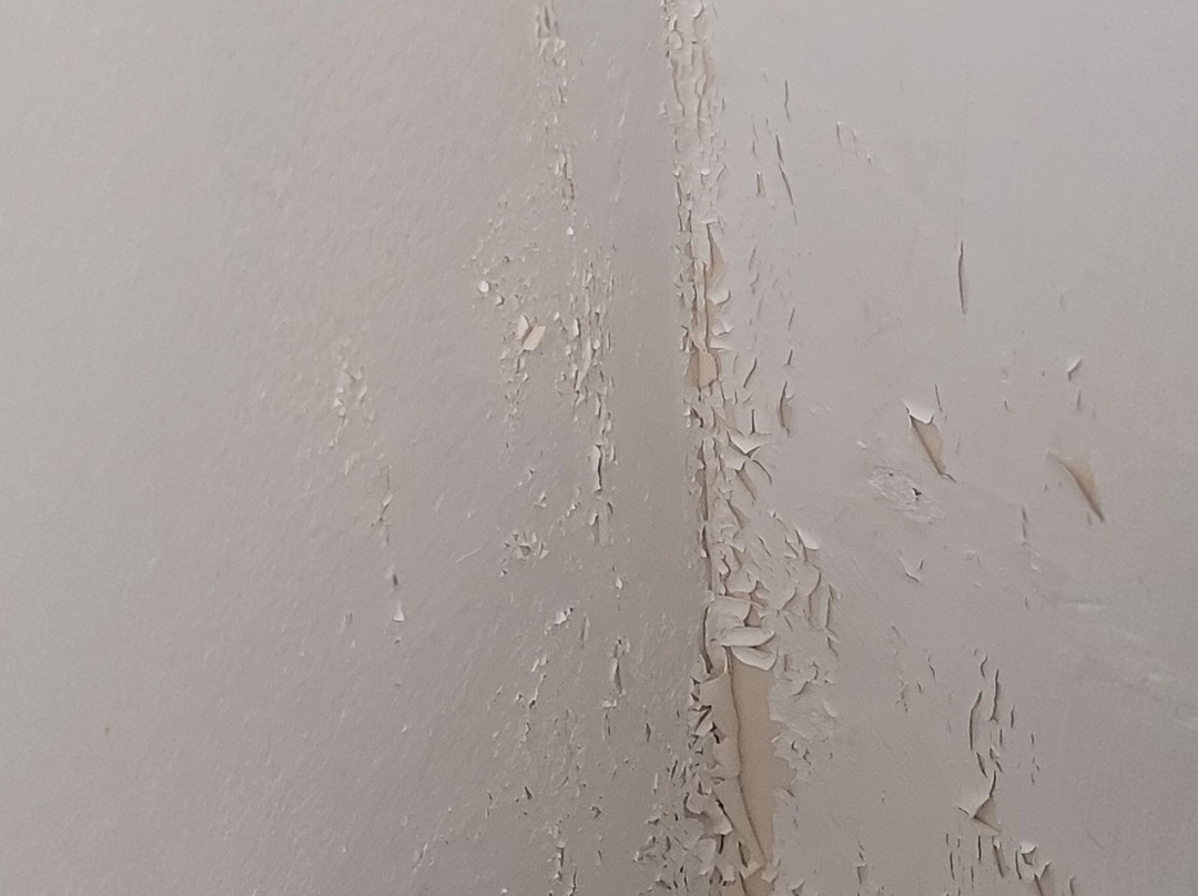 The Winston Guesthouse主图