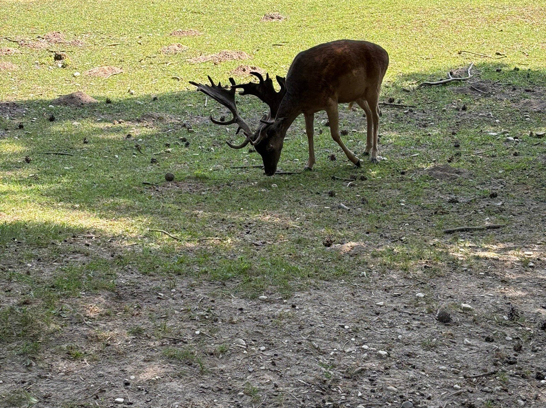 Riserva Naturale Vincheto di Celarda-Celarda必去景点