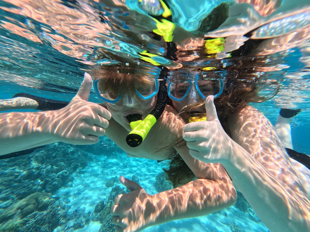 Progy Menjangan-Pejarakan必去景点