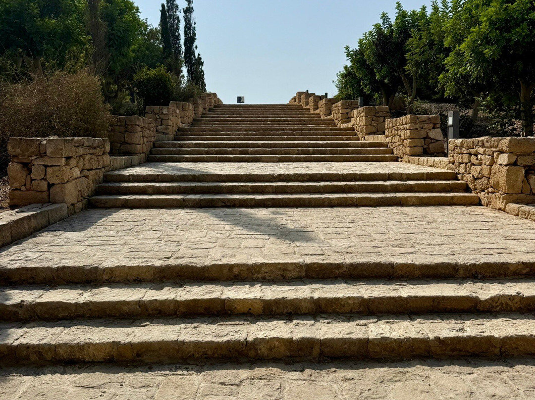 The Villa of Theseus-帕福斯必去景点