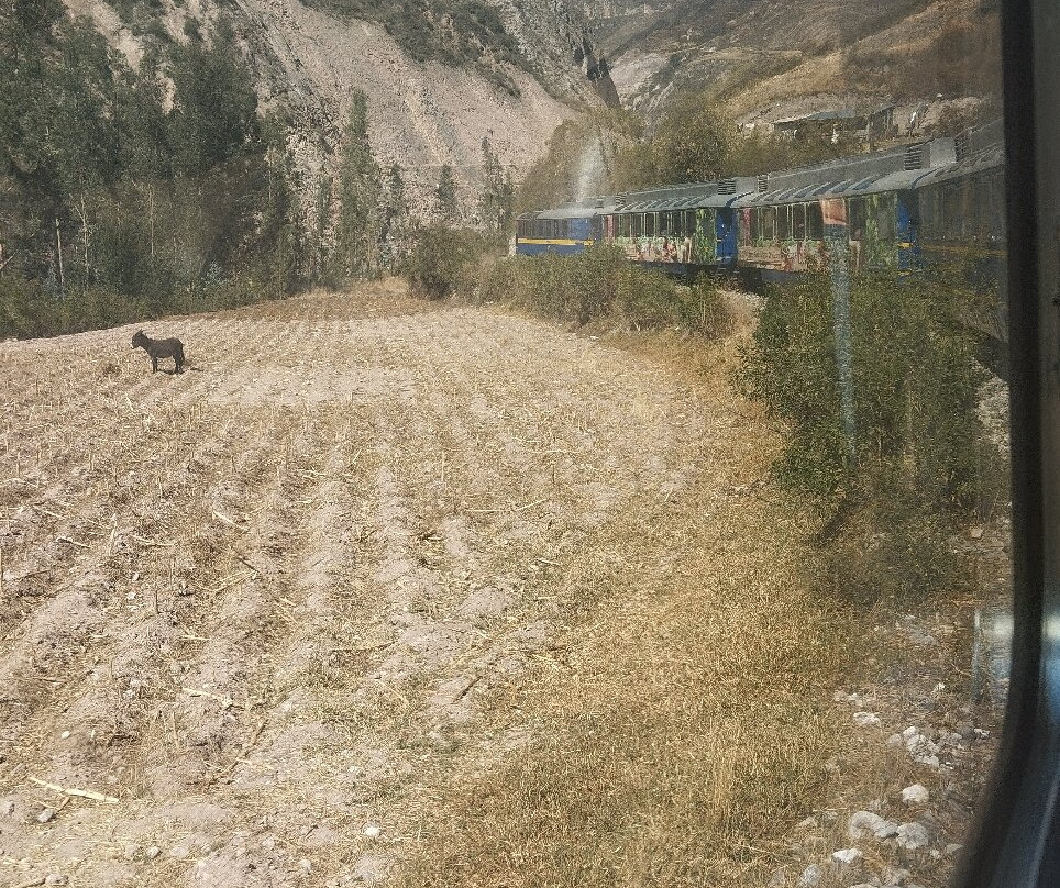PeruRail - Expedition-奥扬泰坦博必去景点